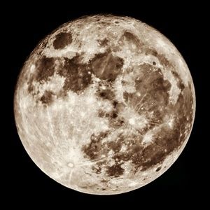 Meet your Posher, Patryk